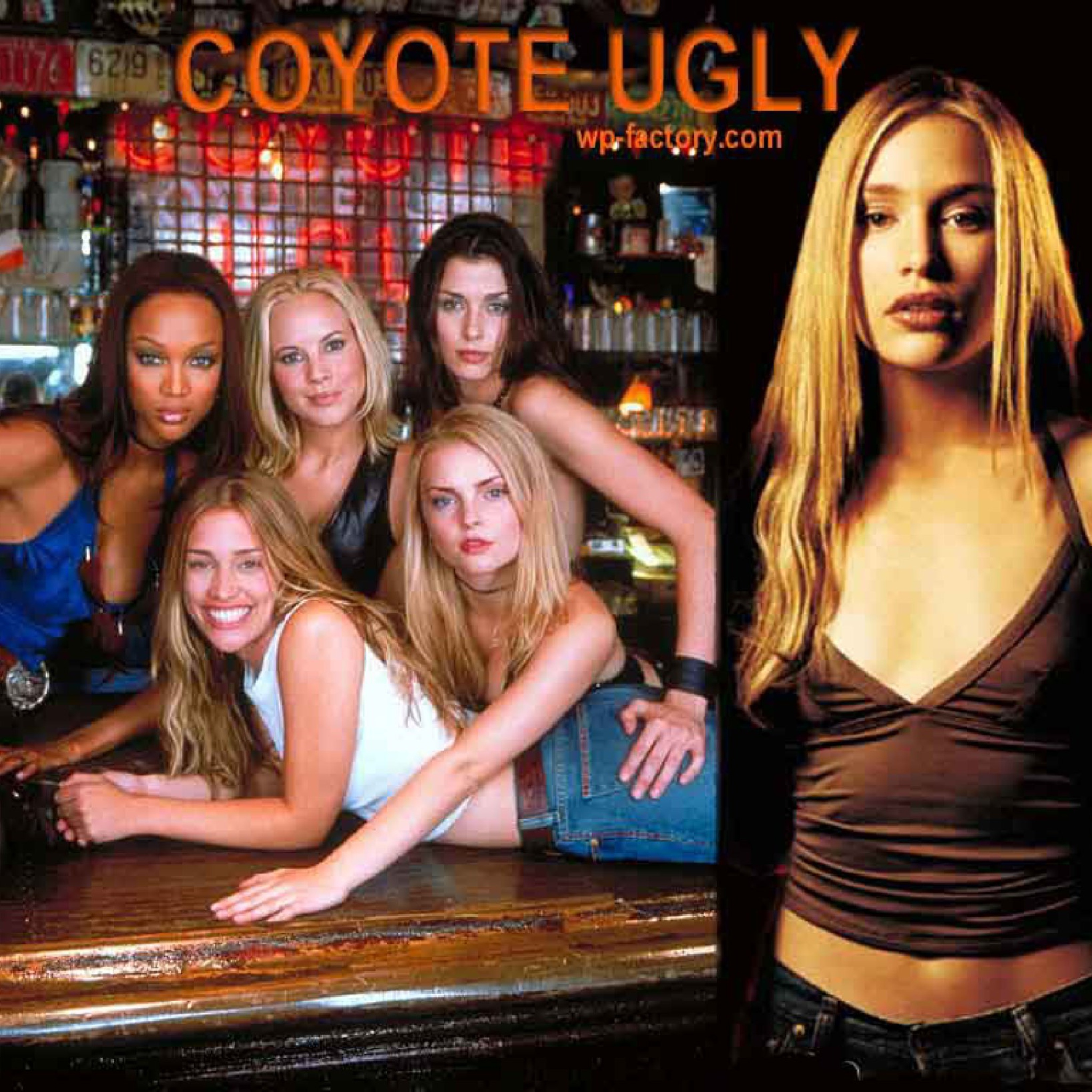 Coyote Ugly wallpaper 2048x2048