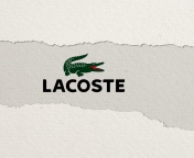 Fondo de pantalla Lacoste Logo 176x144
