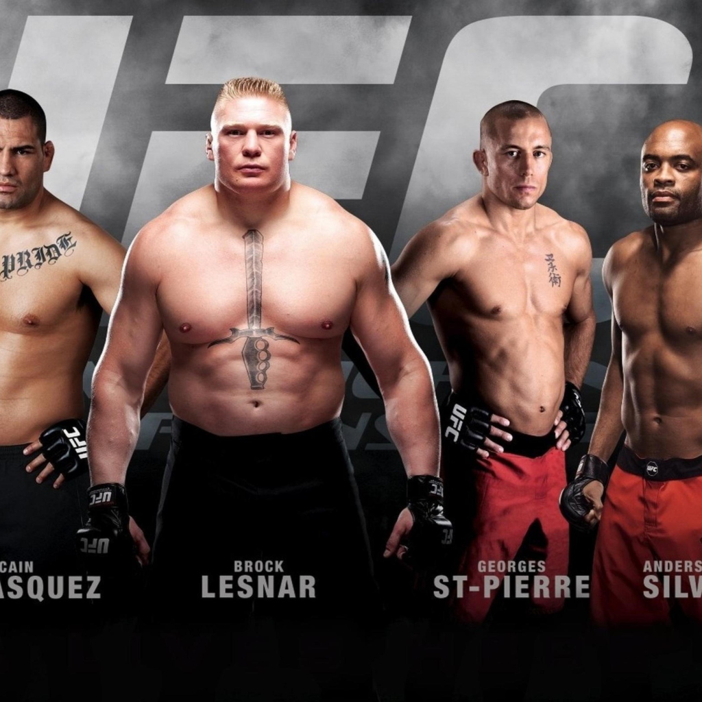 Ufc Mma Mixed Fighters wallpaper 1024x1024