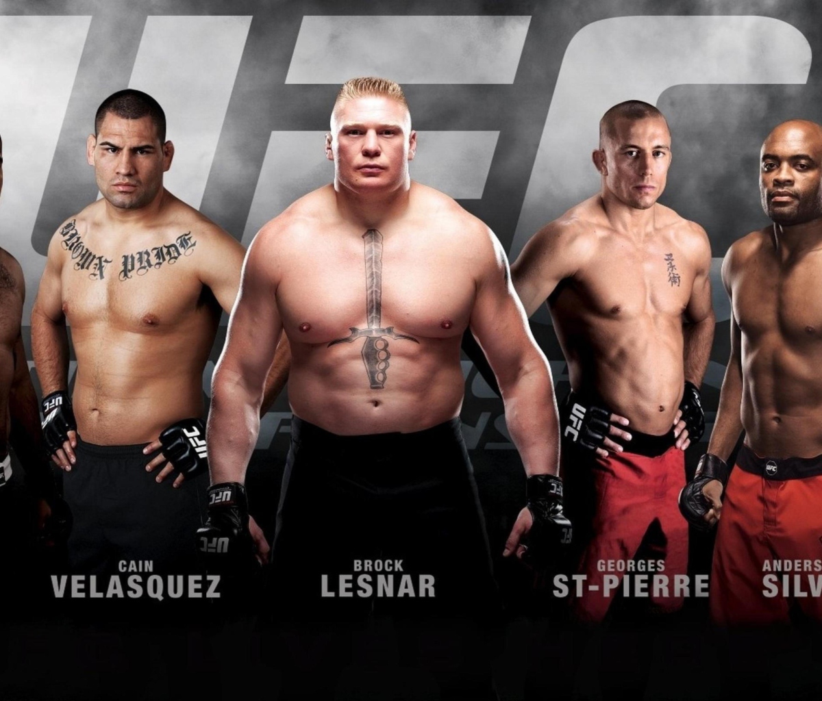 Ufc Mma Mixed Fighters wallpaper 1200x1024