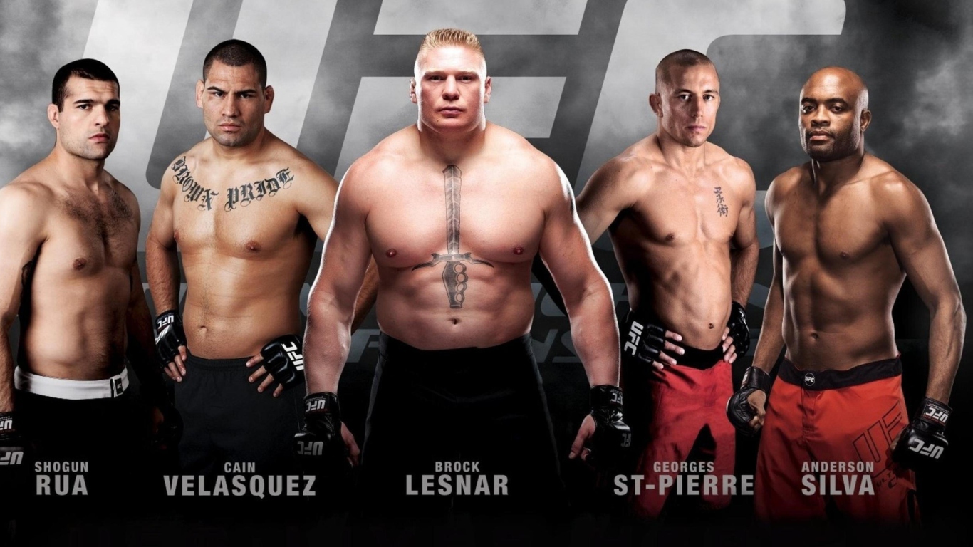 Ufc Mma Mixed Fighters wallpaper 1366x768