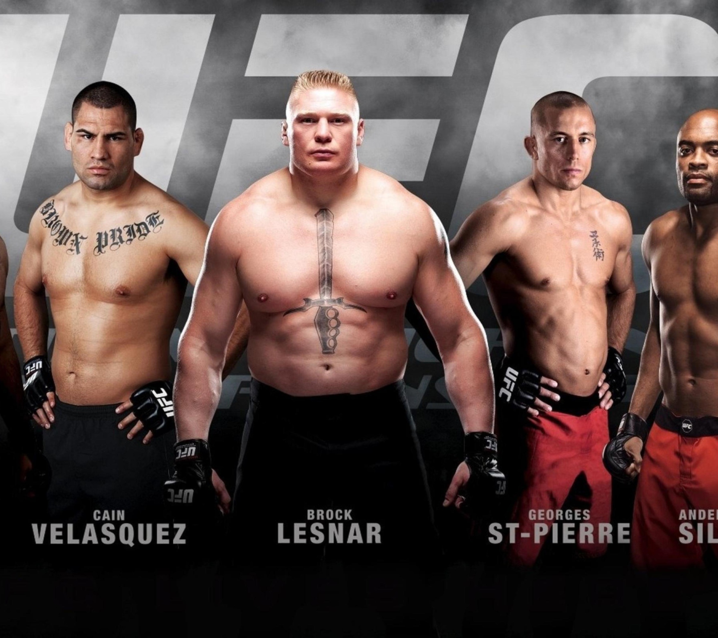 Ufc Mma Mixed Fighters wallpaper 1440x1280