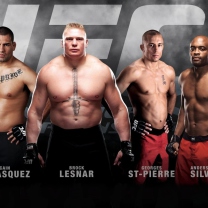 Ufc Mma Mixed Fighters wallpaper 208x208