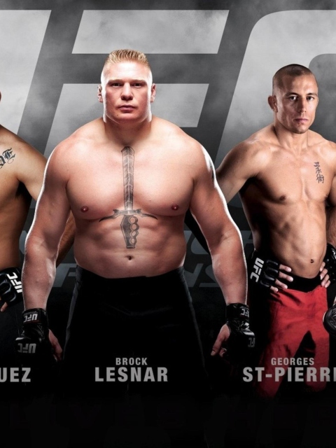 Ufc Mma Mixed Fighters wallpaper 480x640