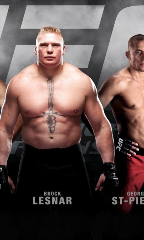 Ufc Mma Mixed Fighters wallpaper 480x800