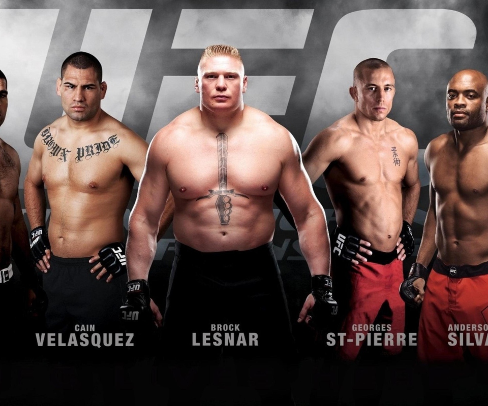 Ufc Mma Mixed Fighters wallpaper 960x800