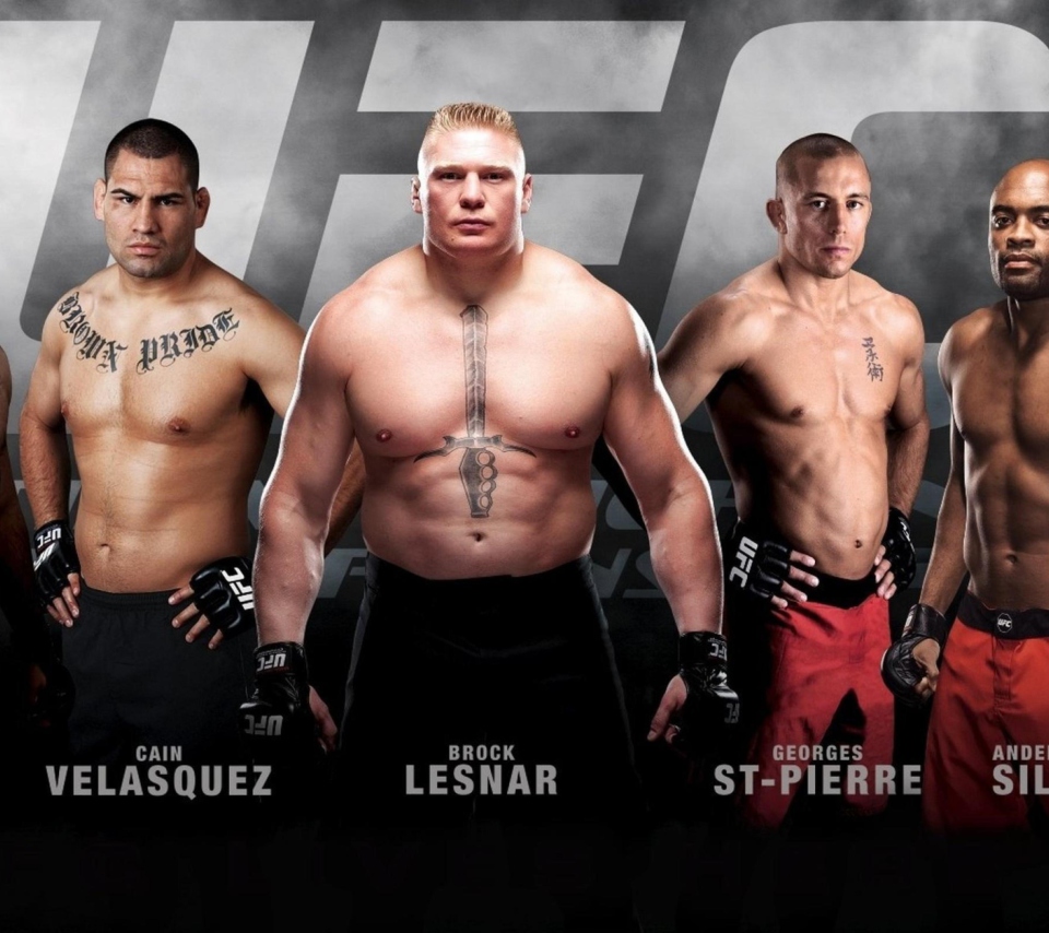 Das Ufc Mma Mixed Fighters Wallpaper 960x854