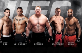 Ufc Mma Mixed Fighters Wallpaper for Android, iPhone and iPad