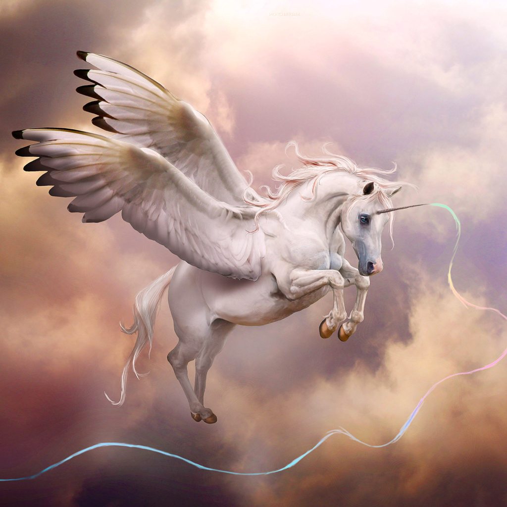 Fondo de pantalla Pegasus, Unicorn 1024x1024