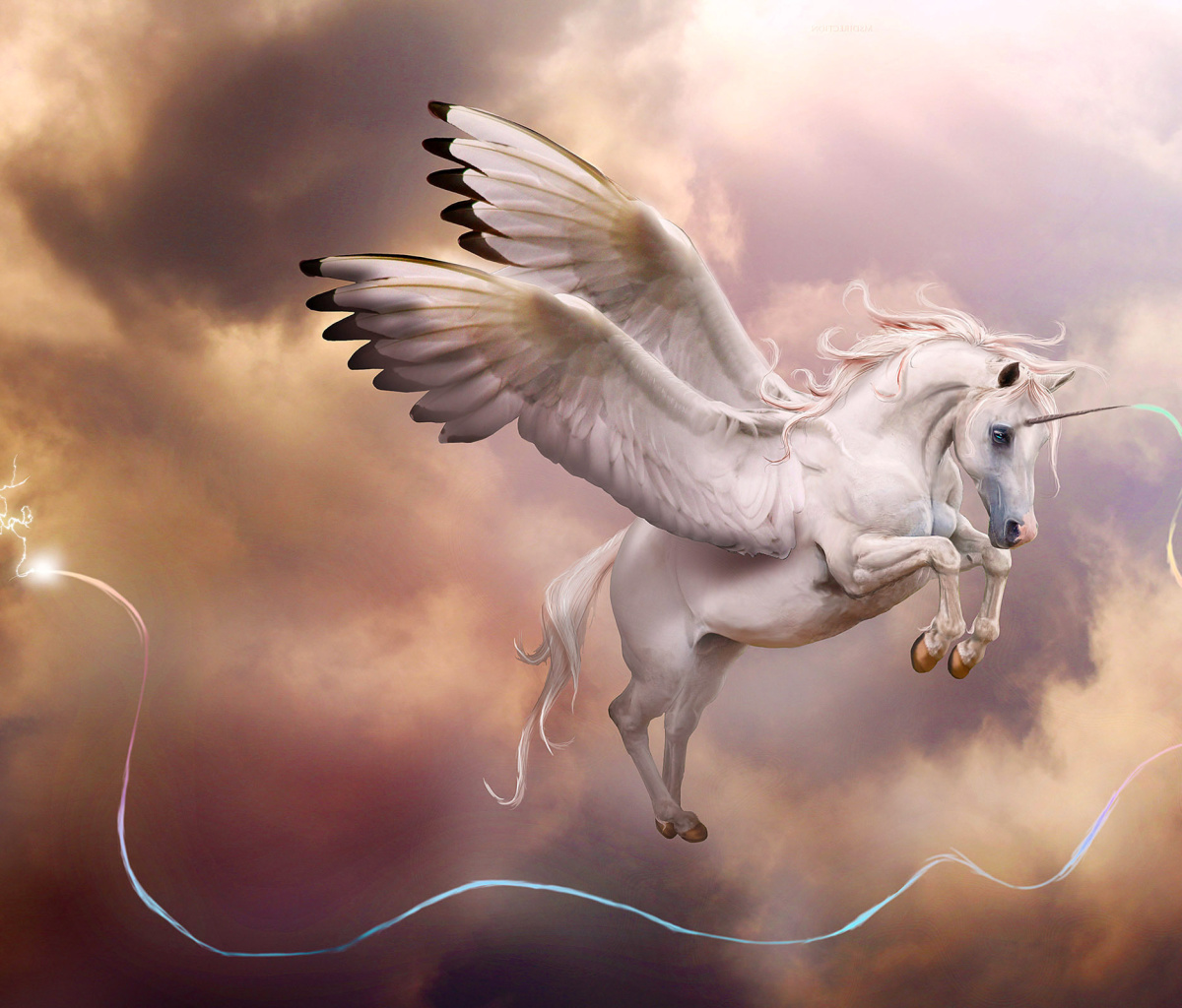 Fondo de pantalla Pegasus, Unicorn 1200x1024