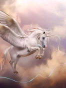 Pegasus, Unicorn wallpaper 132x176