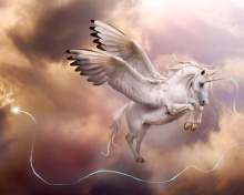 Pegasus, Unicorn wallpaper 220x176
