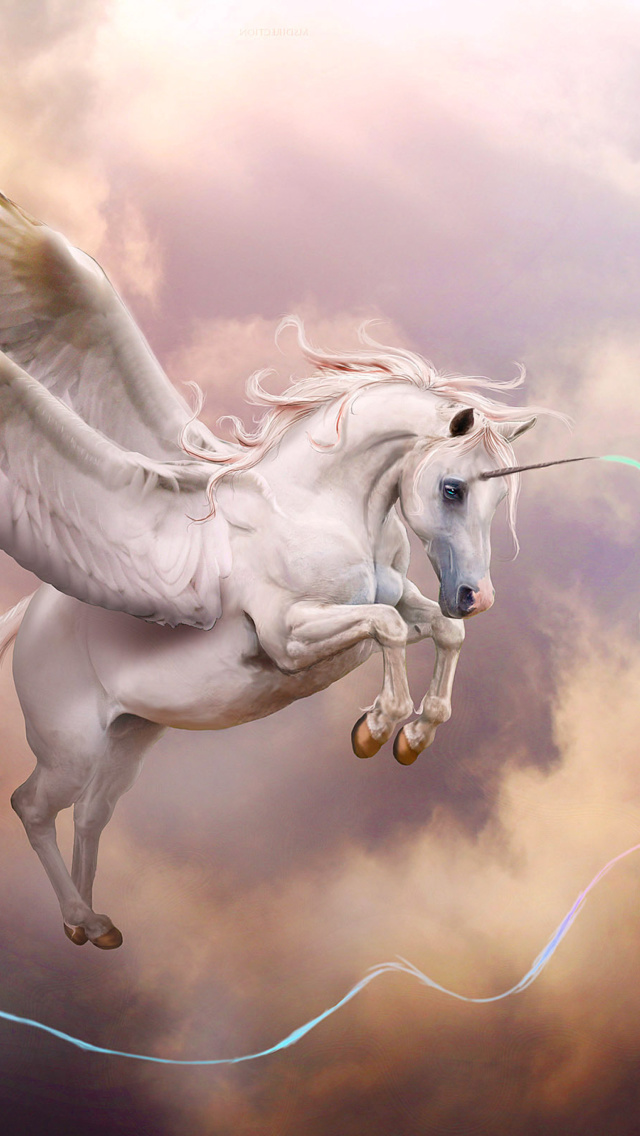 Fondo de pantalla Pegasus, Unicorn 640x1136