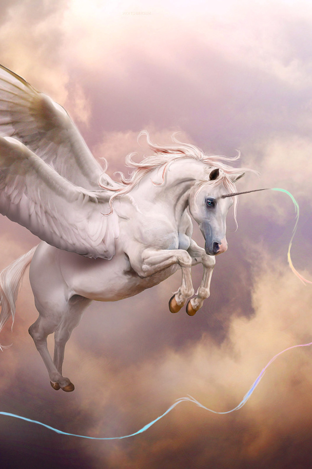 Обои Pegasus, Unicorn 640x960