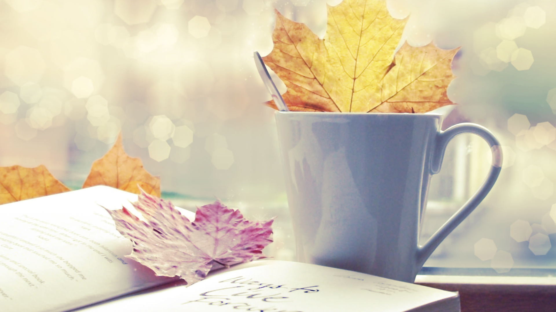 Autumn Still Life wallpaper 1920x1080