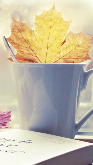 Autumn Still Life wallpaper 360x640