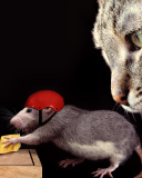 Cat, mouse and mousetrap wallpaper 128x160