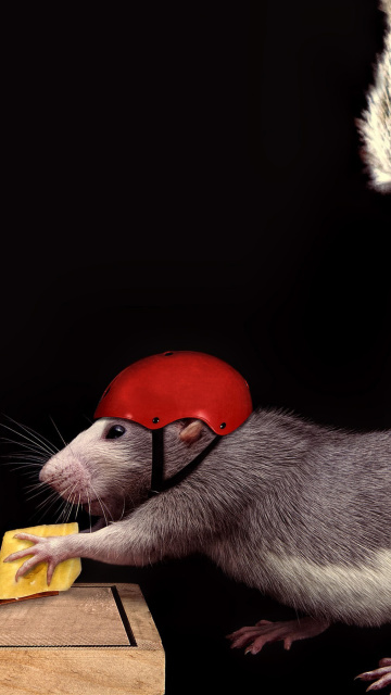 Cat, mouse and mousetrap screenshot #1 360x640