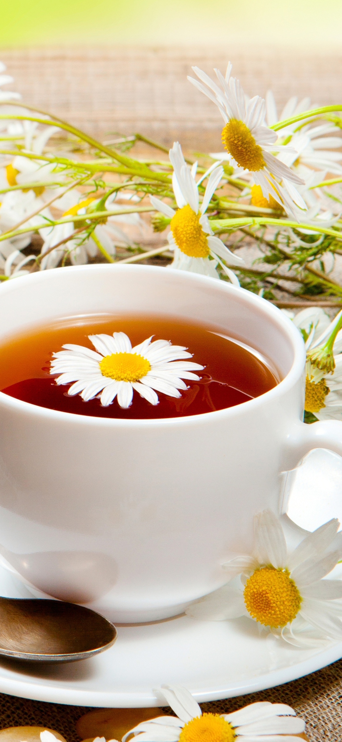 Chamomile Tea wallpaper 1170x2532