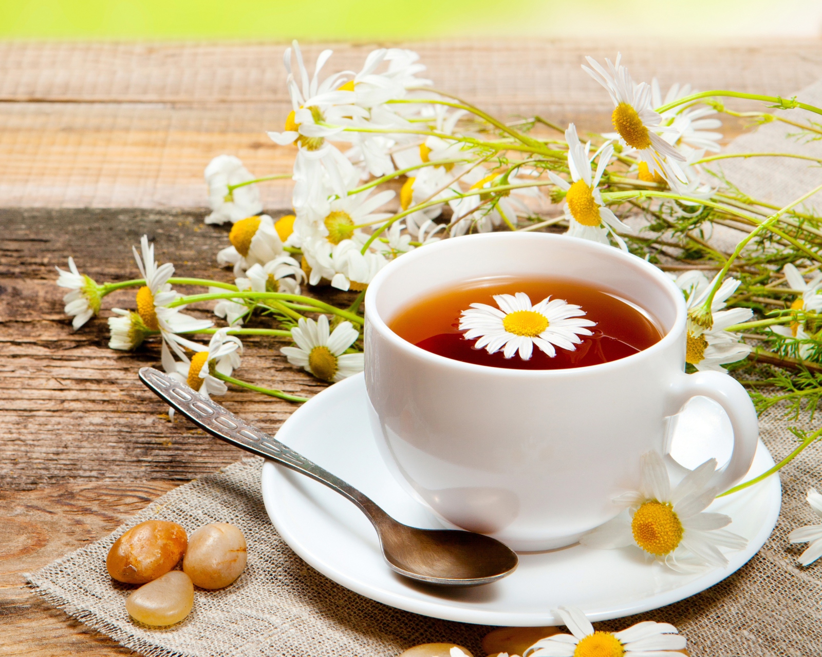 Обои Chamomile Tea 1600x1280