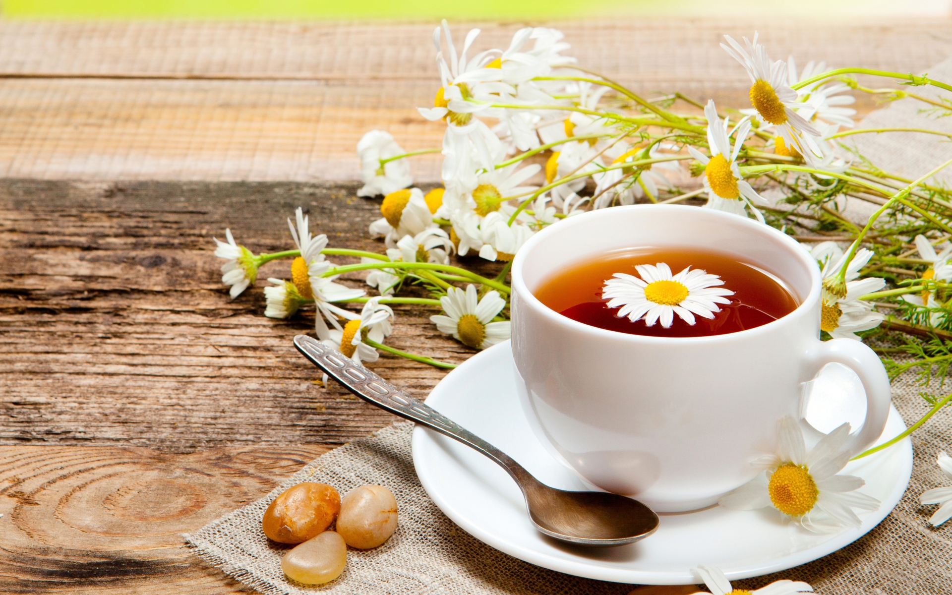 Обои Chamomile Tea 1920x1200