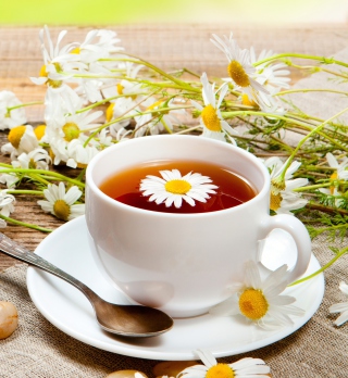 Kostenloses Chamomile Tea Wallpaper für 208x208