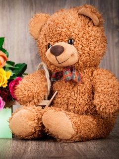 Обои Valentines Day Teddy Bear with Gift 240x320