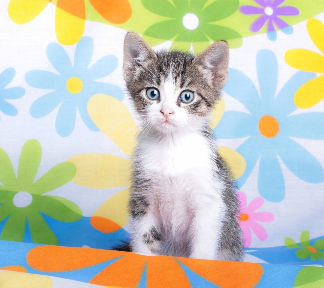 Fondo de pantalla Baby Cat And Flowers 1080x960