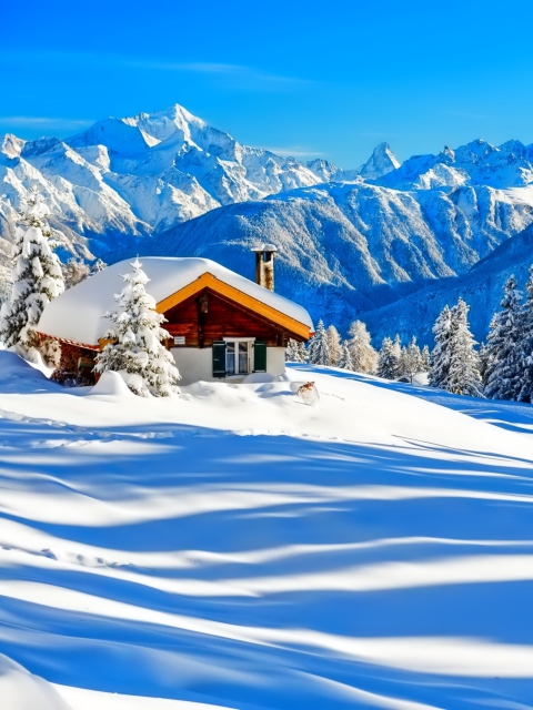 Switzerland Alps in Winter wallpaper 480x640