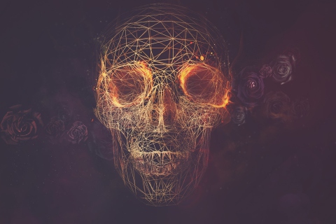 Skull Artwork wallpaper 480x320