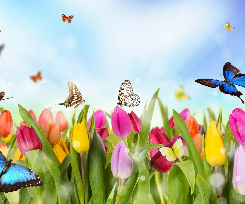 Butterflies and Tulip Field screenshot #1 960x800