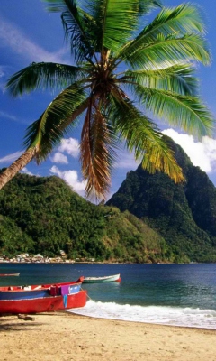 Caribbean Beach screenshot #1 240x400