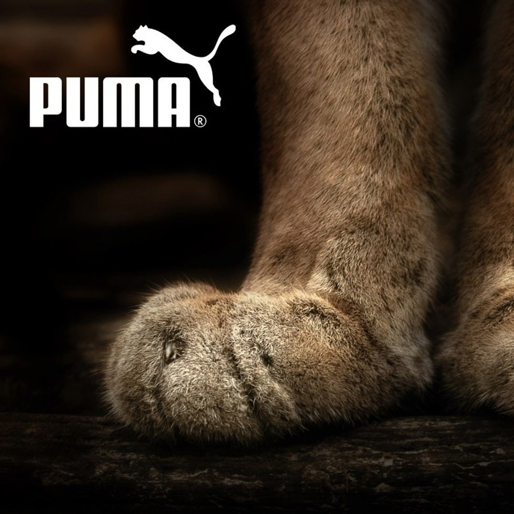 Das Puma Fluffy Logo Wallpaper 1024x1024