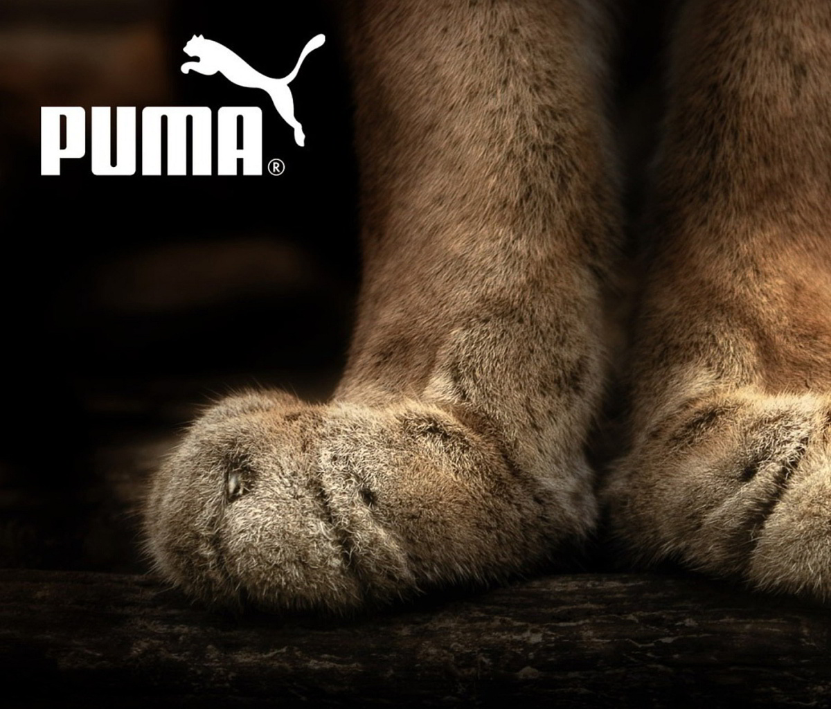 Das Puma Fluffy Logo Wallpaper 1200x1024