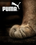 Das Puma Fluffy Logo Wallpaper 128x160