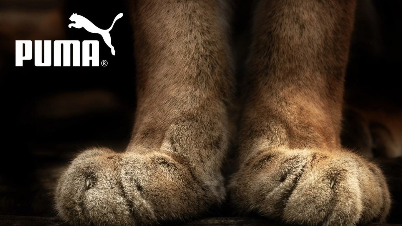 Fondo de pantalla Puma Fluffy Logo 1366x768