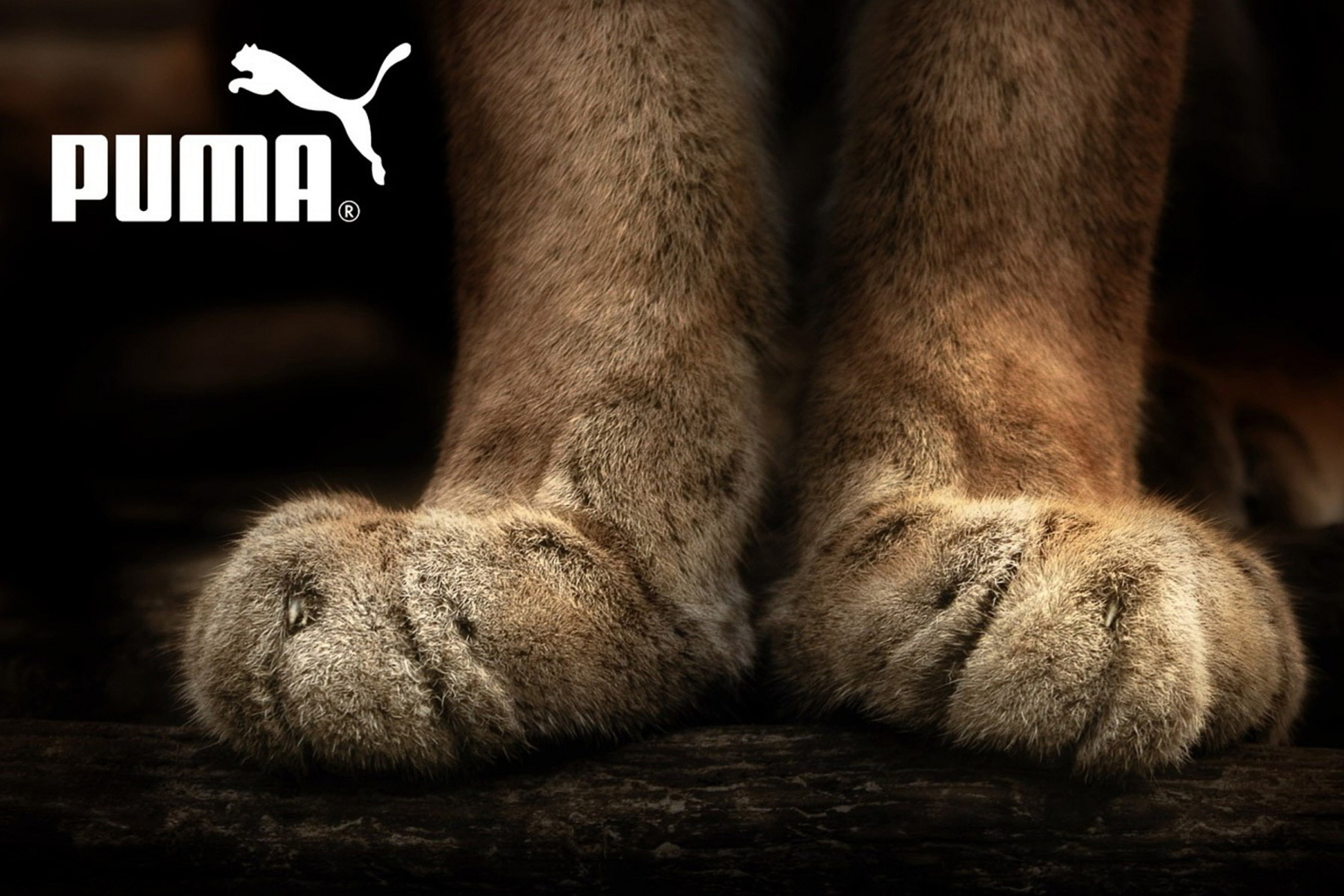 Fondo de pantalla Puma Fluffy Logo 2880x1920