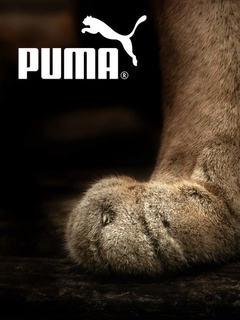 Das Puma Fluffy Logo Wallpaper 480x640