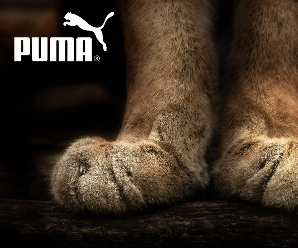 Das Puma Fluffy Logo Wallpaper 960x800