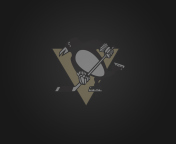 Pittsburgh Penguins screenshot #1 176x144