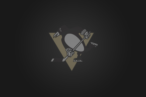 Das Pittsburgh Penguins Wallpaper 480x320