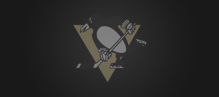 Обои Pittsburgh Penguins 720x320