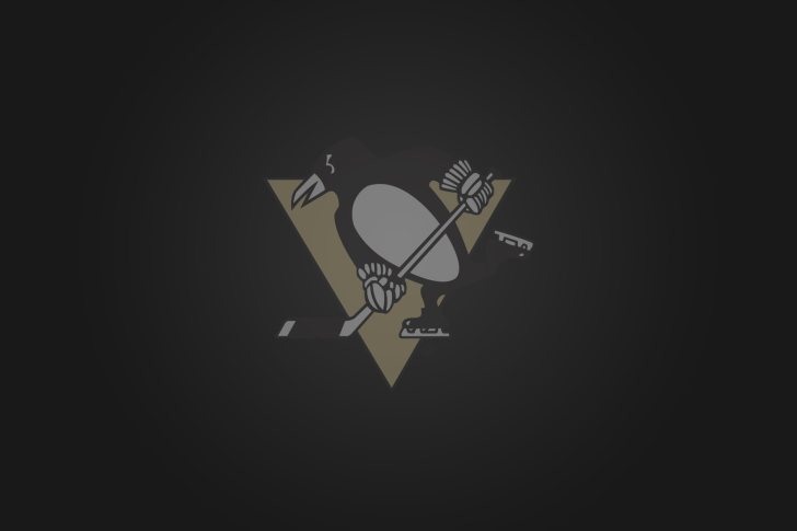 Screenshot №1 pro téma Pittsburgh Penguins