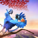 Das Rio 2 2014 Movie Wallpaper 128x128