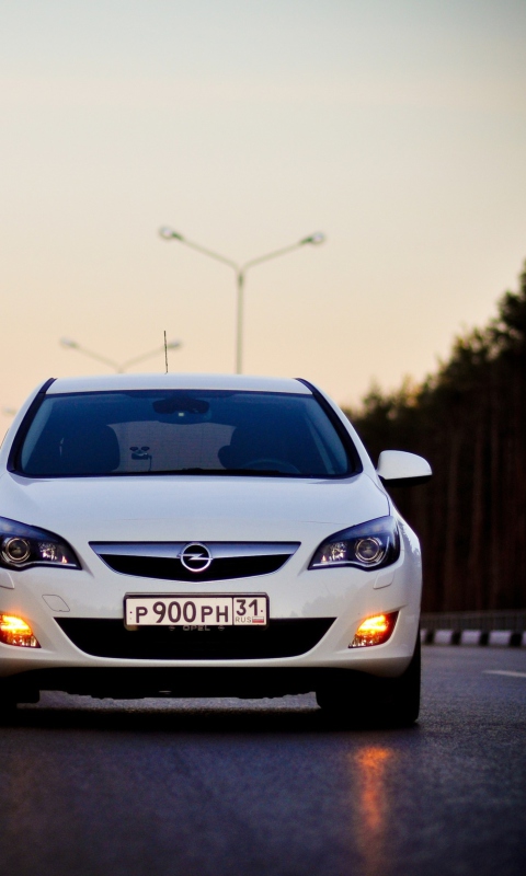 Opel screenshot #1 480x800
