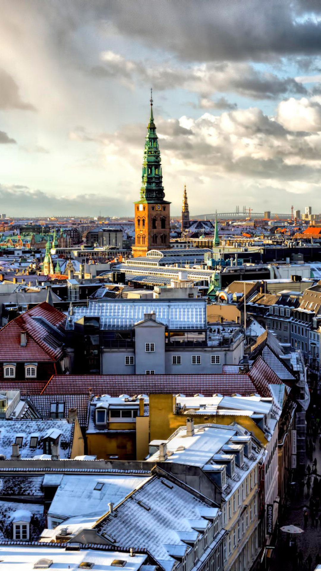 Sfondi Copenhagen Roofs 1080x1920