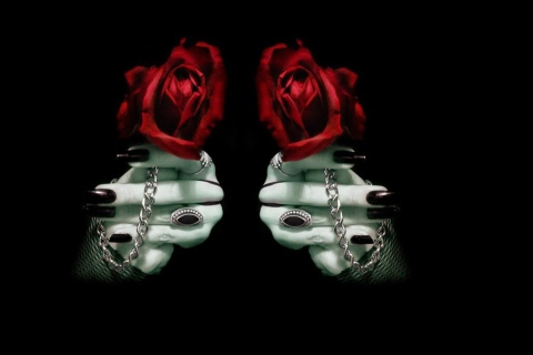 Fondo de pantalla Gothic Rose 480x320