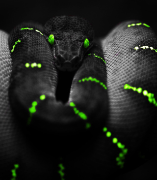 Black Mamba Snake - Obrázkek zdarma pro 640x960