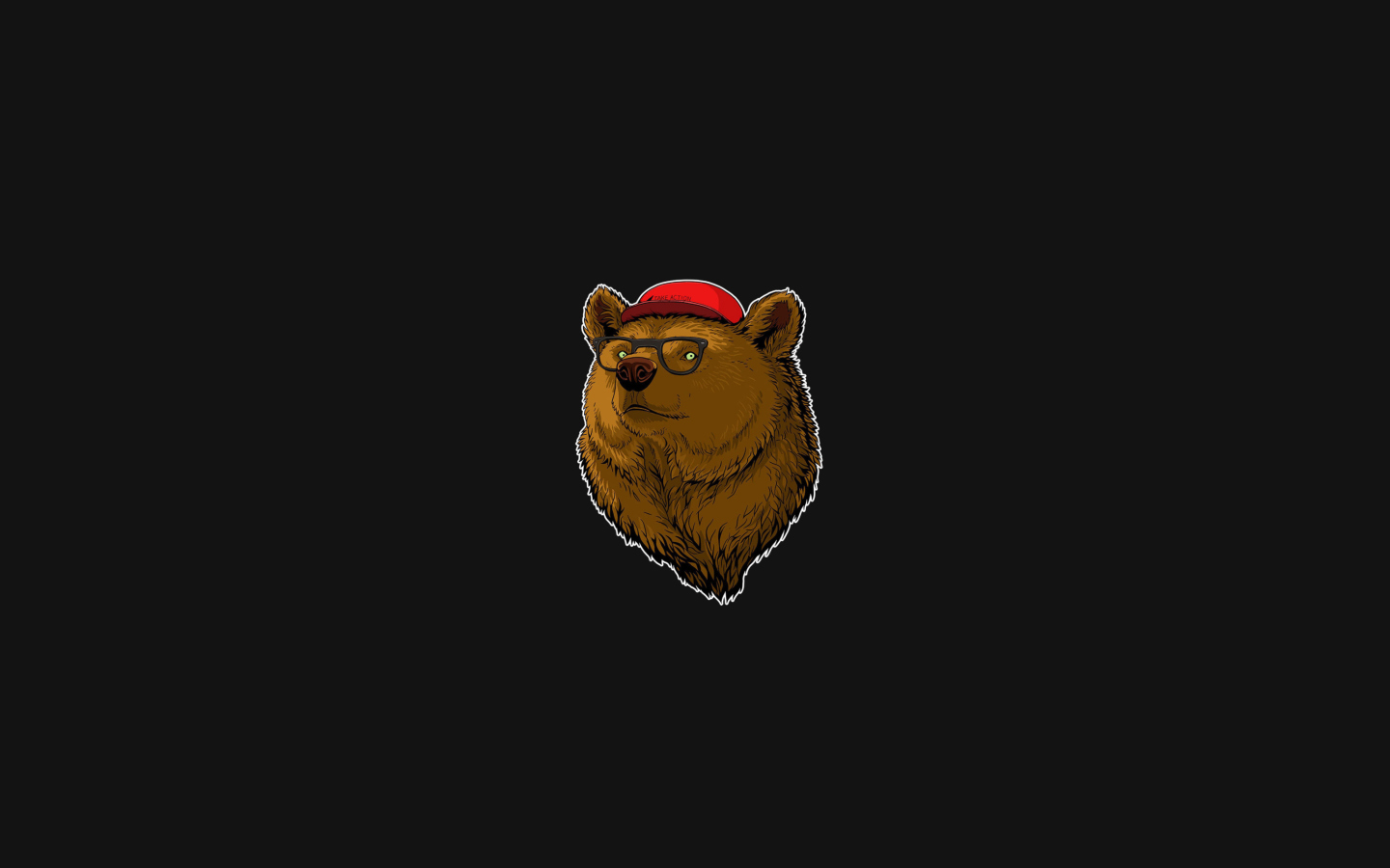 Das Cool Bear Wallpaper 1440x900