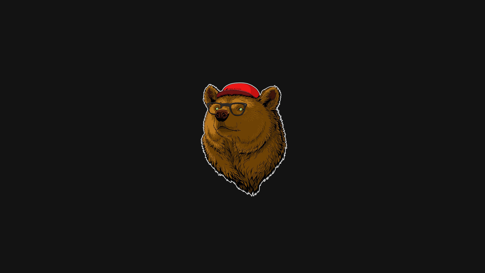 Cool Bear wallpaper 1920x1080